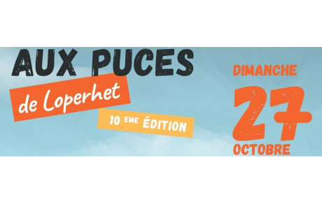 Foire aux puces 2024