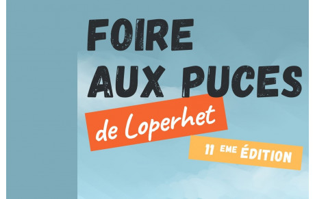 Foire aux puces 2025